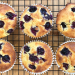 Photograph of blueberry and lemon muffins