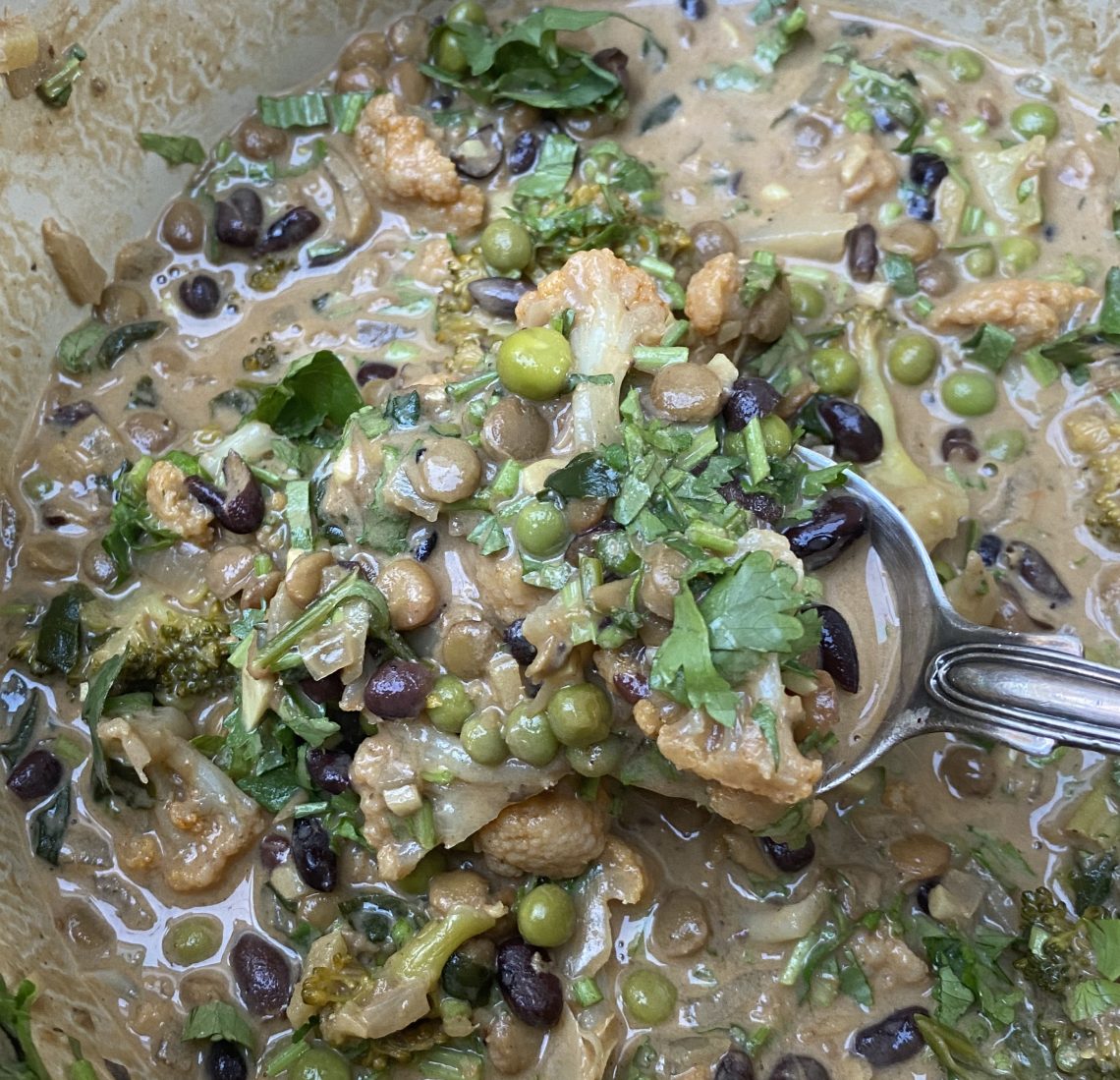 Photograph of Lentil, Pulse and Vegetable Curry/Stew with Coconut or Tomato - Core Recipe